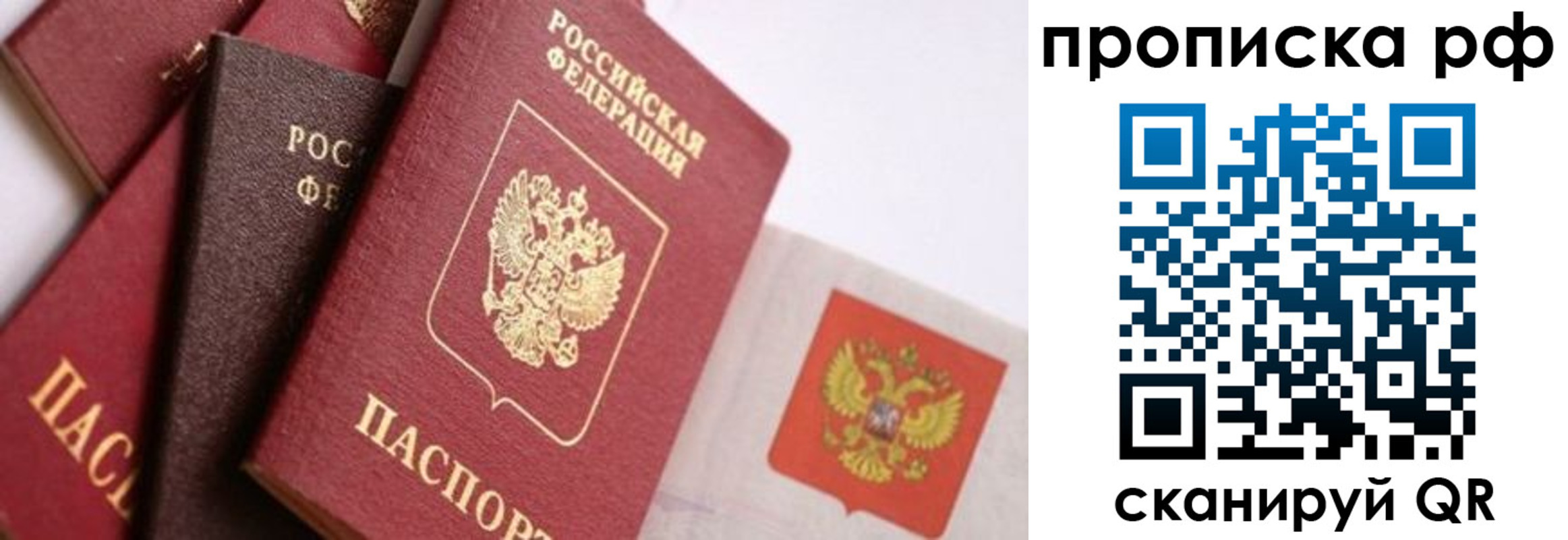 найти адрес прописки в Вольске